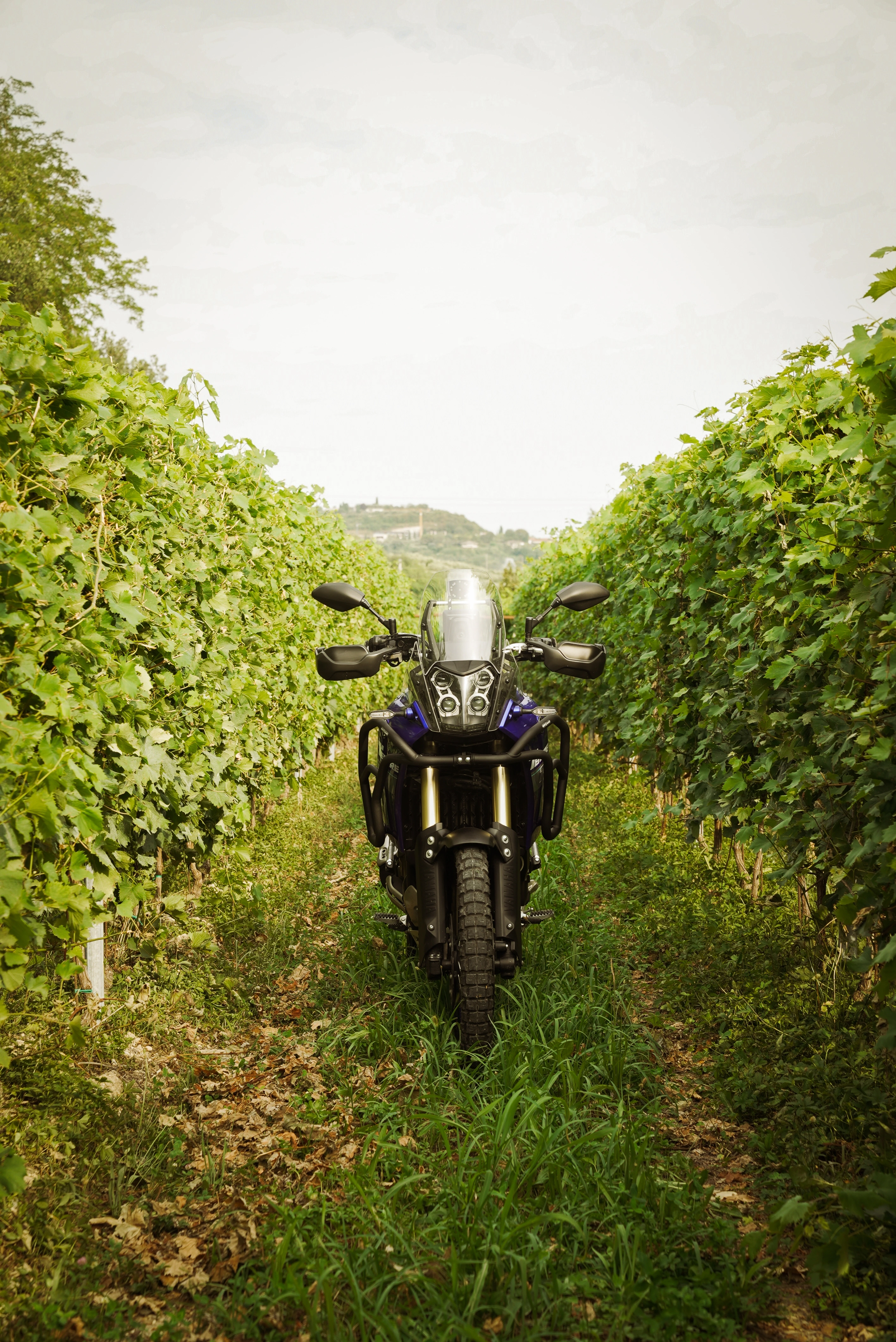 Moto adventure su uno sterrato panoramico sopra il Lago di Garda